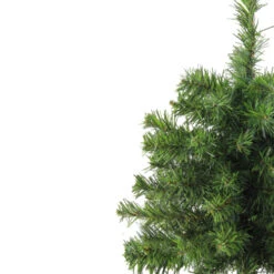 Northlight 18" Medium Canadian Pine Artificial Christmas Tree - Unlit -Christmas Decoration Store 1dgizfmmwt8nkfrnll4q00mjuqkbwkfq 20469.1588356260