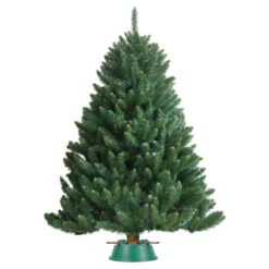 Northlight 21" Wide Mouth Green And Red Watering Christmas Tree Stand - Trees Up To 8ft 7 Northlight 21" Wide Mouth Green And Red Watering Christmas Tree Stand - Trees Up To 8ft -Christmas Decoration Store 217002 in use5b15d 80427.1588396555