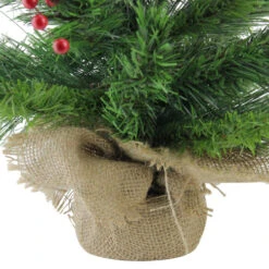 Northlight 24" Mixed Cashmere Berry Pine Medium Artificial Christmas Tree - Unlit -Christmas Decoration Store 4fszc7qvvh13bkrz4obzvfcqiilqrfuf 15414.1665580316