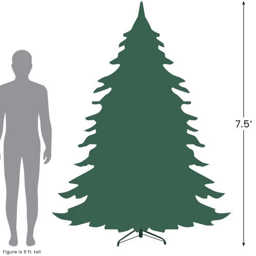Northlight 7.5' Pre-Lit Full Black Spruce Artificial Christmas Tree - Clear LED Lights 6 Northlight 7.5' Pre-Lit Full Black Spruce Artificial Christmas Tree - Clear LED Lights - Image 6
