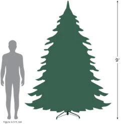 Northlight 9' Pre-Lit Full Frosted Butte Fir Artificial Christmas Tree - Clear Lights 7 Northlight 9' Pre-Lit Full Frosted Butte Fir Artificial Christmas Tree - Clear Lights -Christmas Decoration Store 927 09422.1690469255