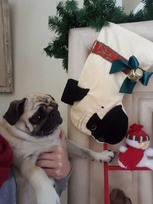 15" Beige And Black Pug Dog Christmas Stocking 2 15" Beige And Black Pug Dog Christmas Stocking - Image 2