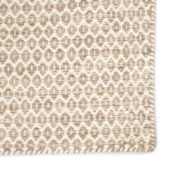 Christmas Central 8.75' X 12' Beige And Ivory Flat Weave Contemporary Rectangular Area Throw Rug -Christmas Decoration Store djri rug140372 3 45550.1665580605