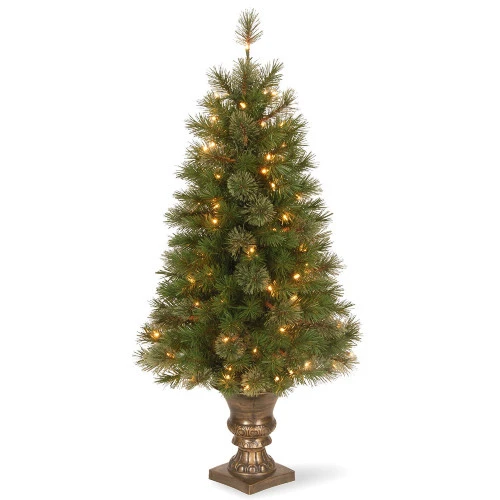 Christmas Central 4" Pre-Lit Atlanta Spruce Artificial Christmas Entrance Tree - Clear Lights 1 Christmas Central 4" Pre-Lit Atlanta Spruce Artificial Christmas Entrance Tree - Clear Lights