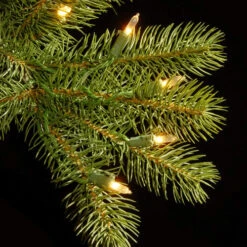 Christmas Central 10’ Pre-Lit Downswept Douglas Fir Artificial Christmas Tree, Clear Lights -Christmas Decoration Store dnat20pedd1 312 100 2 14851.1665346765