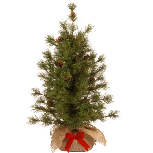 Christmas Central 3' Slim Bristle Cone Pine Burlap Base Artificial Christmas Tree - Unlit 1 Christmas Central 3' Slim Bristle Cone Pine Burlap Base Artificial Christmas Tree - Unlit