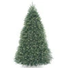 9' Pre-Lit Dunhill Blue Fir Hinged Artificial Christmas Tree - Clear Lights