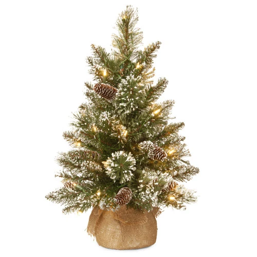 2' Pre-Lit Full Glittery Bristle Pine Artificial Christmas Tree - Warm White LED Lights 1 2' Pre-Lit Full Glittery Bristle Pine Artificial Christmas Tree - Warm White LED Lights