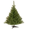 Christmas Central 4’ Kincaid Spruce Artificial Christmas Tree, Unlit