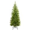 Christmas Central 4’ Kingswood Fir Pencil Artificial Christmas Tree, Unlit