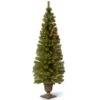 6' Pre-Lit Montclair Spruce Christmas Tree - Clear Lights