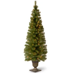 6' Pre-Lit Montclair Spruce Christmas Tree - Clear Lights