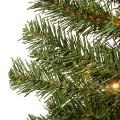 6' Pre-Lit Montclair Spruce Christmas Tree - Clear Lights 5 6' Pre-Lit Montclair Spruce Christmas Tree - Clear Lights -Christmas Decoration Store dnat mc7 308 60 3 27830.1664380273