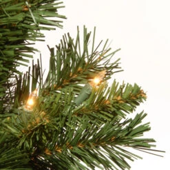 Christmas Central 2' Pre-Lit Potted Majestic Fir Full Artificial Christmas Tree, White LED Lights -Christmas Decoration Store dnat mj3 24bglo b1 3 46196.1587645163