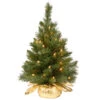 Christmas Central 2’ Pre-lit Potted Majestic Fir Tree Artificial Christmas Tree, Clear Lights