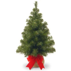 Christmas Central 2' Potted Noble Spruce Medium Artificial Christmas Tree, Unlit