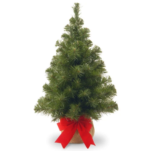 Christmas Central 2' Potted Noble Spruce Medium Artificial Christmas Tree, Unlit 1 Christmas Central 2' Potted Noble Spruce Medium Artificial Christmas Tree, Unlit