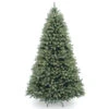 Christmas Central 6’ Pre-Lit Downswept Douglas Blue Fir Christmas Tree - Clear Lights
