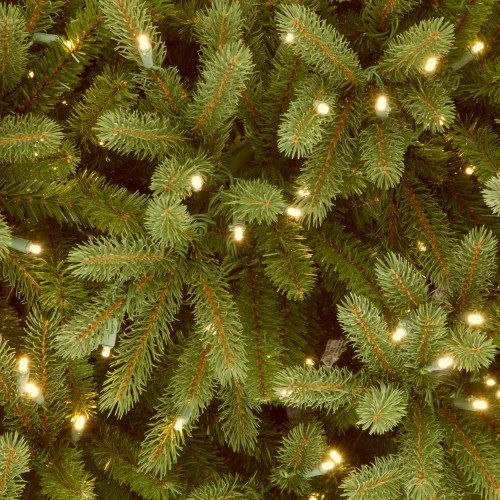Christmas Central 12’ Pre-Lit Full Jersey Fraser Artificial Christmas Tree, Clear Lights 3 Christmas Central 12’ Pre-Lit Full Jersey Fraser Artificial Christmas Tree, Clear Lights - Image 3