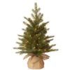 Christmas Central 2' Pre-Lit Potted Nordic Spruce Full Artificial Christmas Tree, White Lights