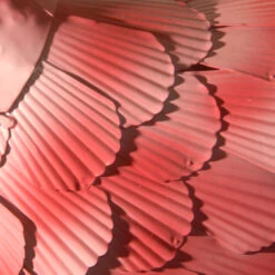 32" Pink Flamingo Garden Patio Accents -Christmas Decoration Store dnat ras xf3615104 1 3 79253.1631810864