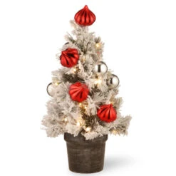 Christmas Central 2' Pre-Lit Potted Snowy Bristle Pine Medium Artificial Tabletop Christmas Tree, White LED Lights
