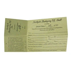 10" Green And Red Kris Kringle Mark Roberts Christmas Fairy Figurine -Christmas Decoration Store mark20roberts2051 97236 03 60107.1599267888