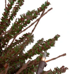 Northlight 2' Pre-Lit Medium Potted Warsaw Twig Artificial Christmas Tree - Clear Lights 11 Northlight 2' Pre-Lit Medium Potted Warsaw Twig Artificial Christmas Tree - Clear Lights -Christmas Decoration Store northlight b03907 4 16085.1608088099