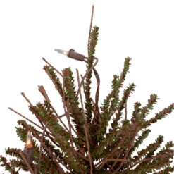 Northlight 2' Pre-Lit Medium Potted Warsaw Twig Artificial Christmas Tree - Clear Lights 9 Northlight 2' Pre-Lit Medium Potted Warsaw Twig Artificial Christmas Tree - Clear Lights -Christmas Decoration Store northlight b03909 1 71217.1608088098