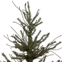 Northlight 3' Warsaw Two-Tone Twig Artificial Christmas Tree - Unlit 10 Northlight 3' Warsaw Two-Tone Twig Artificial Christmas Tree - Unlit -Christmas Decoration Store northlight b03912 1 16109.1665611042