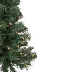 Northlight 3' Pre-Lit Green Medium Blackwater Fir Artificial Christmas Tree - Clear Lights 7 Northlight 3' Pre-Lit Green Medium Blackwater Fir Artificial Christmas Tree - Clear Lights -Christmas Decoration Store northlight b83526 2 06989.1666129159