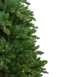Northlight 12' Pre-Lit Eastern Pine Slim Artificial Christmas Tree - Clear Lights 10 Northlight 12' Pre-Lit Eastern Pine Slim Artificial Christmas Tree - Clear Lights -Christmas Decoration Store northlight b84727 2 71655.1588356341