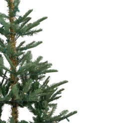 Northlight 9' Pre-Lit Nordmann Fir Artificial Christmas Tree - Warm Clear LED Lights 6 Northlight 9' Pre-Lit Nordmann Fir Artificial Christmas Tree - Warm Clear LED Lights -Christmas Decoration Store northlight j00085 3 80272.1636546337