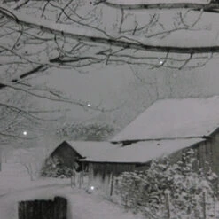 Northlight Fiber Optic Lighted Snowfall Country Rustic Farmhouse Christmas Canvas Wall Art 11.75" X 15.75" 5 Northlight Fiber Optic Lighted Snowfall Country Rustic Farmhouse Christmas Canvas Wall Art 11.75" X 15.75" -Christmas Decoration Store northlight nj85686 3 28533.1588350646