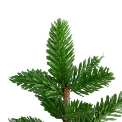 Northlight 1.3' Potted Pine Medium Artificial Tabletop Christmas Tree - Unlit 7 Northlight 1.3' Potted Pine Medium Artificial Tabletop Christmas Tree - Unlit -Christmas Decoration Store northlight nl00136 2 29678.1588356257
