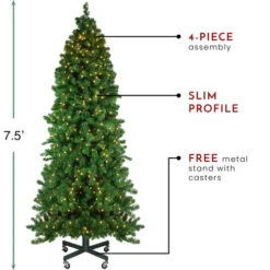 Northlight 7.5' Pre-Lit Slim Olympia Pine Artificial Christmas Tree - Warm White Lights -Christmas Decoration Store northlight nl03216 thumbnail 1 30303.1665611927