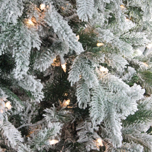 Northlight 7.5' Pre-Lit Full Frosted Butte Fir Artificial Christmas Tree - Clear AlwaysLit Lights 2 Northlight 7.5' Pre-Lit Full Frosted Butte Fir Artificial Christmas Tree - Clear AlwaysLit Lights - Image 2