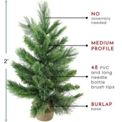 Northlight 2' Potted Mixed Cashmere Pine Medium Artificial Christmas Tree, Unlit -Christmas Decoration Store northlight v03956 thumbnail 77437.1665433297