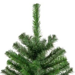 Northlight 4' Colorado Spruce Full Artificial Christmas Tree, Unlit -Christmas Decoration Store northlight v03972 3 83810.1665087792