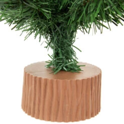 Northlight 24" Mini Pine Medium Artificial Christmas Tree, Unlit 7 Northlight 24" Mini Pine Medium Artificial Christmas Tree, Unlit -Christmas Decoration Store northlight v04276 3 89005.1669884306