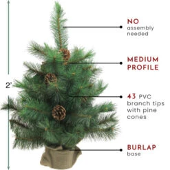 Northlight 2' Royal Oregon Pine Medium Artificial Christmas Tree In Burlap Base - Unlit -Christmas Decoration Store northlight v15918 thumbnail 82117.1604542603