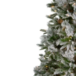 Northlight 6.5' Pre-Lit LED Full Mixed Rosemary Emerald Angel Pine Artificial Christmas Tree - Clear Lights 10 Northlight 6.5' Pre-Lit LED Full Mixed Rosemary Emerald Angel Pine Artificial Christmas Tree - Clear Lights -Christmas Decoration Store northlight v27363 1 28621.1587643979