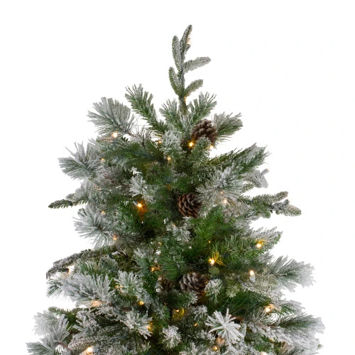 Northlight 6.5' Pre-Lit LED Full Mixed Rosemary Emerald Angel Pine Artificial Christmas Tree - Clear Lights 4 Northlight 6.5' Pre-Lit LED Full Mixed Rosemary Emerald Angel Pine Artificial Christmas Tree - Clear Lights - Image 4