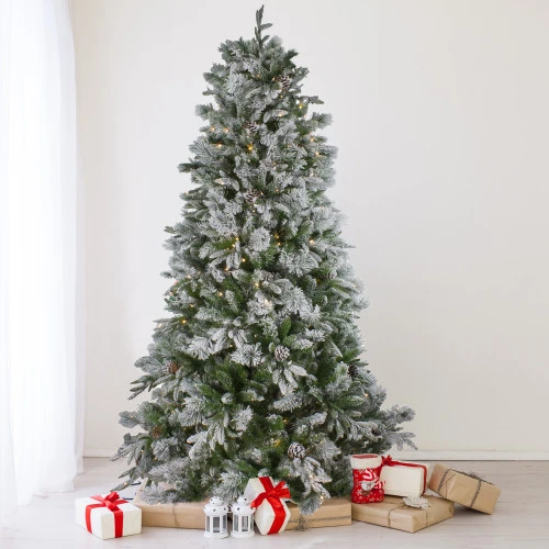 Northlight 6.5' Pre-Lit LED Full Mixed Rosemary Emerald Angel Pine Artificial Christmas Tree - Clear Lights 2 Northlight 6.5' Pre-Lit LED Full Mixed Rosemary Emerald Angel Pine Artificial Christmas Tree - Clear Lights - Image 2