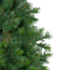 Northlight 6.5' Royal Alpine Artificial Christmas Tree - Unlit 9 Northlight 6.5' Royal Alpine Artificial Christmas Tree - Unlit -Christmas Decoration Store northlight v27367 1 update 14614.1665783341