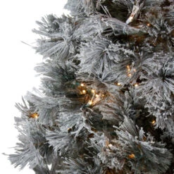 Northlight 7.5' Pre-Lit Full Black Spruce Artificial Christmas Tree - Clear LED Lights 8 Northlight 7.5' Pre-Lit Full Black Spruce Artificial Christmas Tree - Clear LED Lights -Christmas Decoration Store northlight v27372 2 37581.1588362215