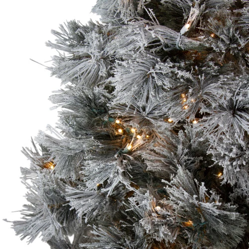 Northlight 7.5' Pre-Lit Full Black Spruce Artificial Christmas Tree - Clear LED Lights 3 Northlight 7.5' Pre-Lit Full Black Spruce Artificial Christmas Tree - Clear LED Lights - Image 3