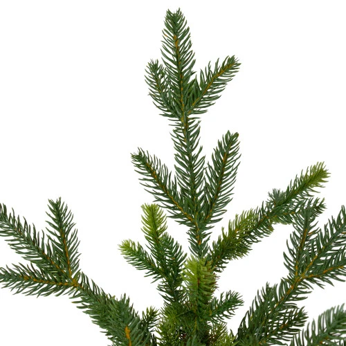 Northlight 6' Potted Noble Pine Slim Artificial Christmas Tree - Unlit 4 Northlight 6' Potted Noble Pine Slim Artificial Christmas Tree - Unlit - Image 4