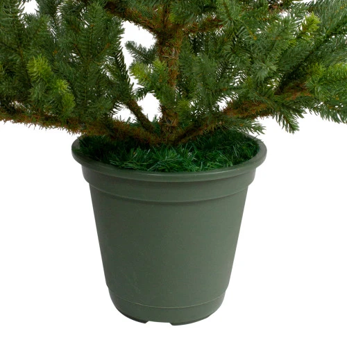 Northlight 6' Potted Noble Pine Slim Artificial Christmas Tree - Unlit 5 Northlight 6' Potted Noble Pine Slim Artificial Christmas Tree - Unlit - Image 5
