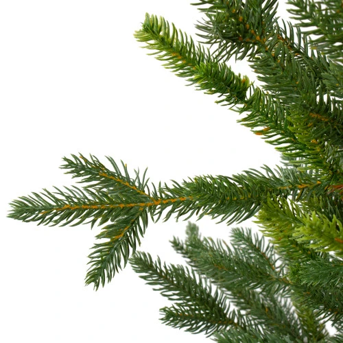 Northlight 6' Potted Noble Pine Slim Artificial Christmas Tree - Unlit 2 Northlight 6' Potted Noble Pine Slim Artificial Christmas Tree - Unlit - Image 2